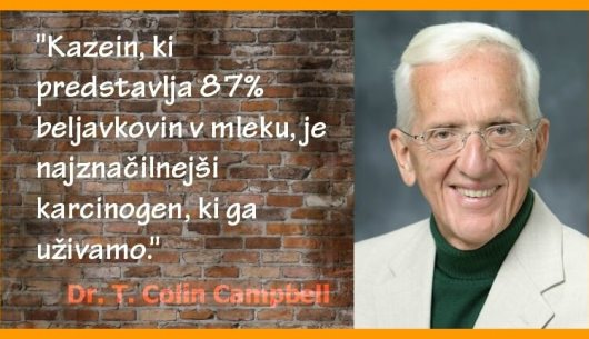Koliko živalskih beljakovin je še varno?